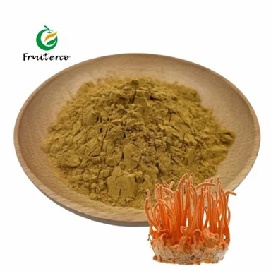 Cordyceps Militaris þykkni